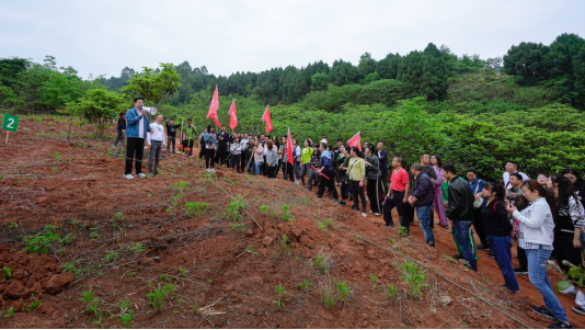 省尊龙凯时人生就是博z6com集团开展龙泉山都会森林公园 “包山头”植树活动
