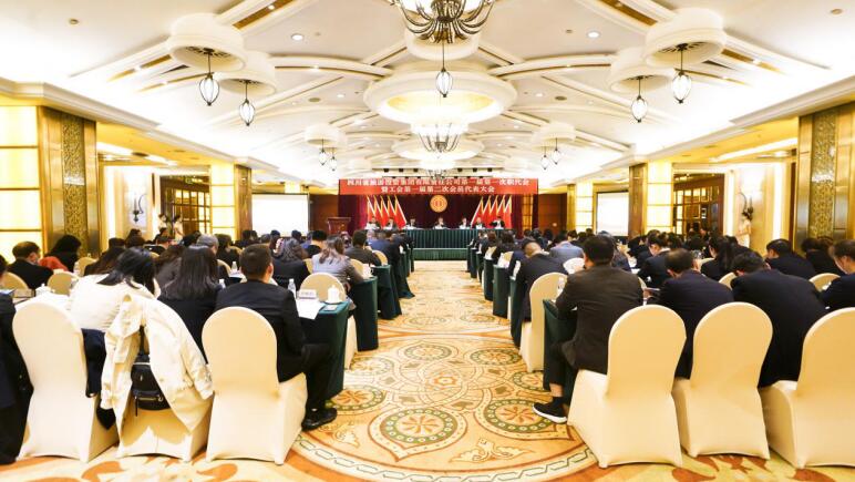 尊龙凯时人生就是博z6com集团第一届第一次职代会暨工会第一届第二次会员代表大会胜利召开