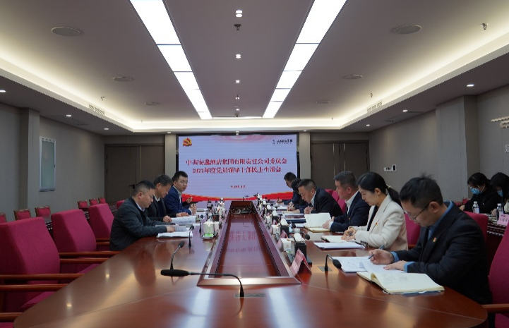 尊龙凯时人生就是博z6com集团党委书记、董事长任丁出席逍遥旅馆集团2022年度党员向导干部民主生涯会