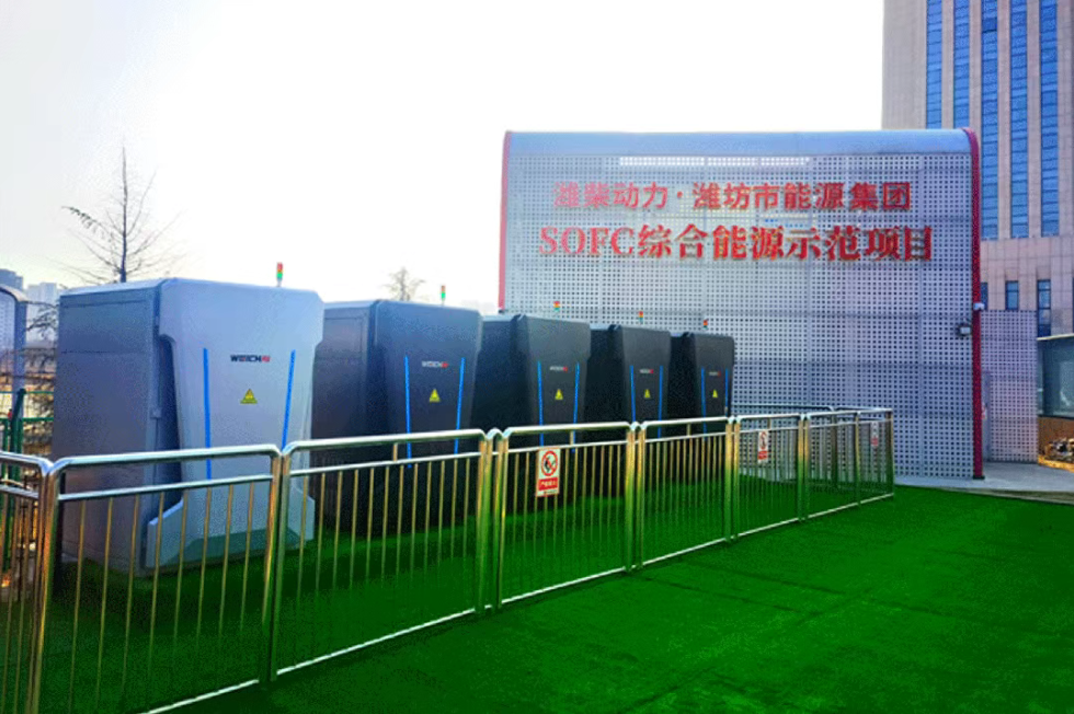 S36沙龙会 - 要玩就玩沙龙会